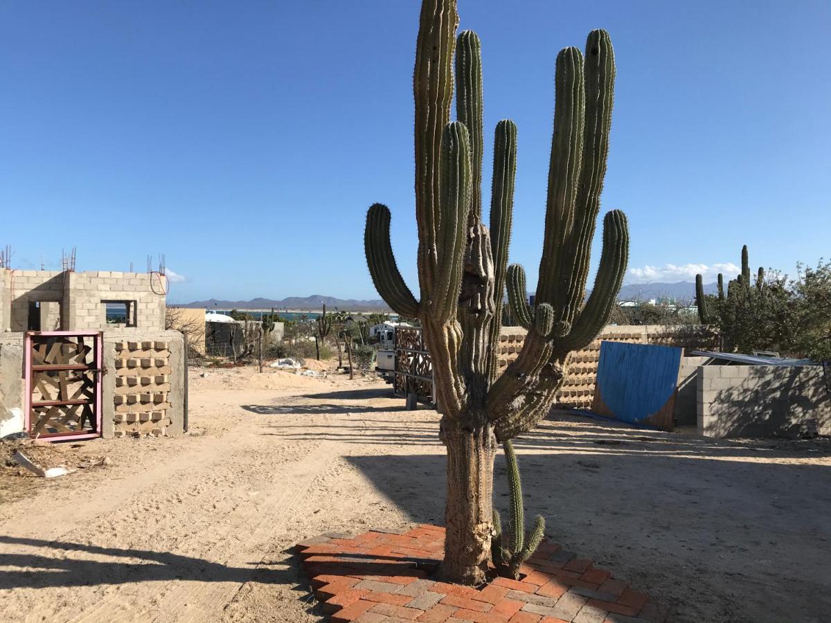 Susu'Z Village Hostel And Rooms La Ventana 외부 사진
