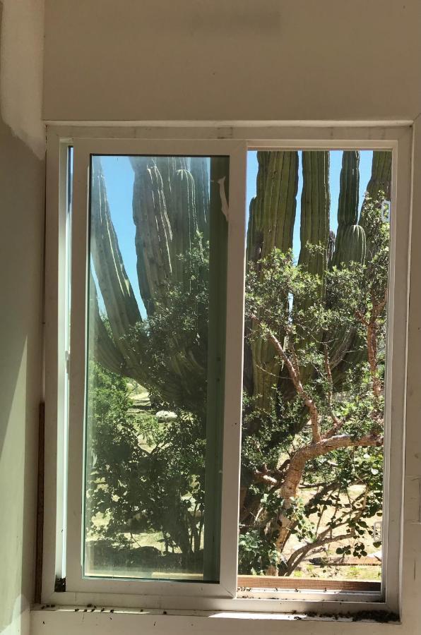 Susu'Z Village Hostel And Rooms La Ventana 외부 사진